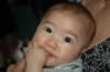 dsc_4133_small.jpg